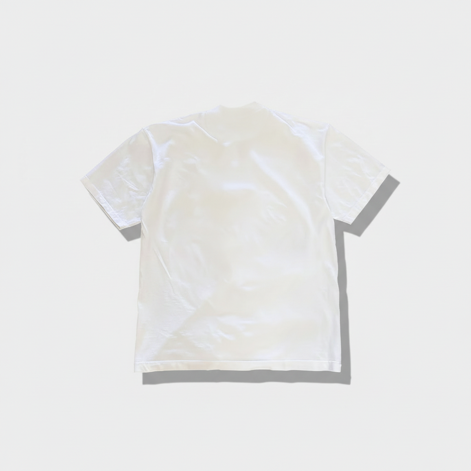 SaltdFish Cat T-shirt